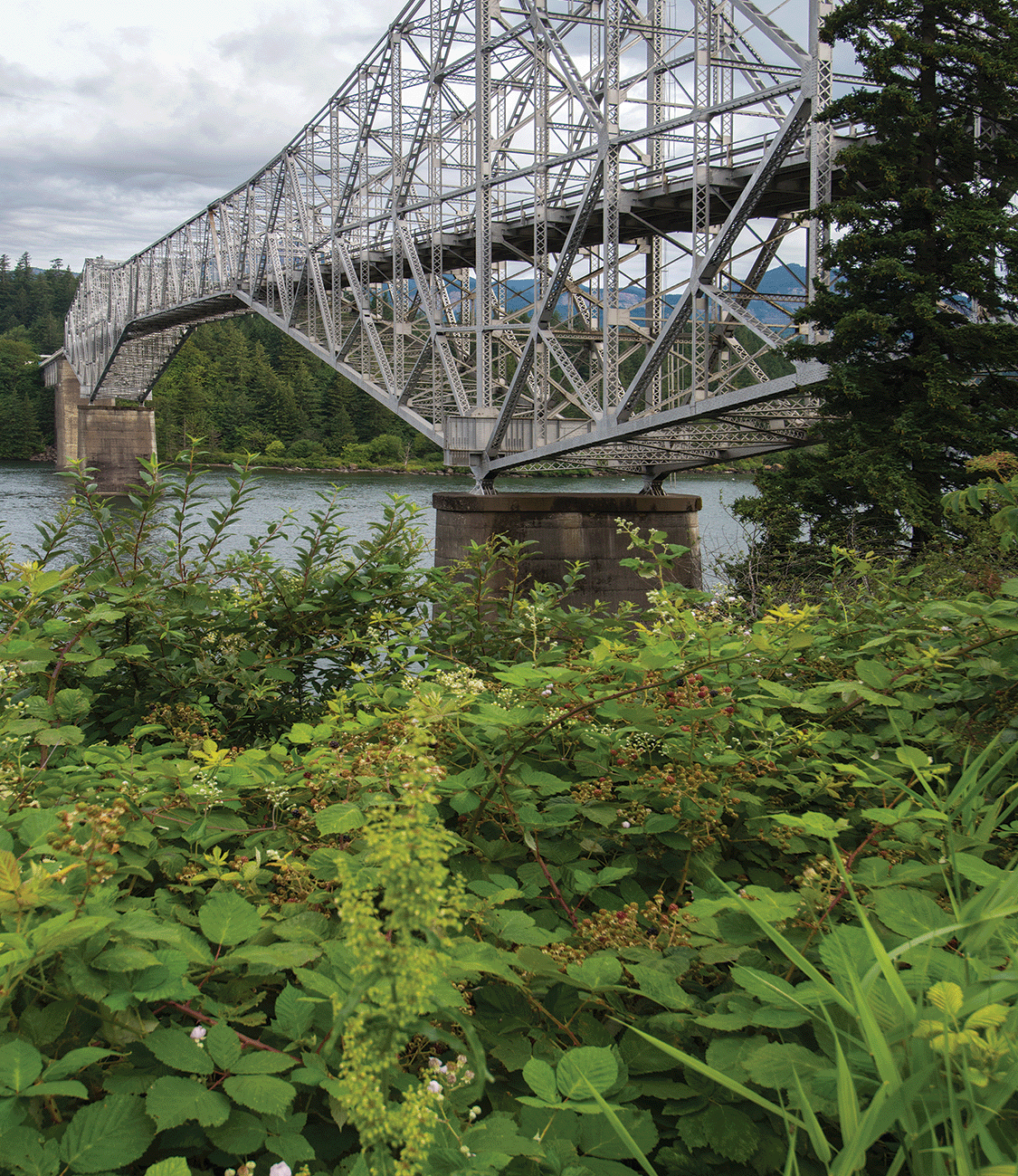 The Columbia River Gorge #1