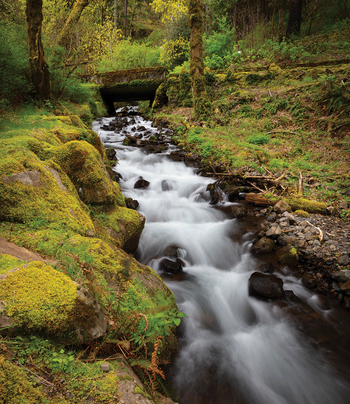 The Columbia River Gorge #2