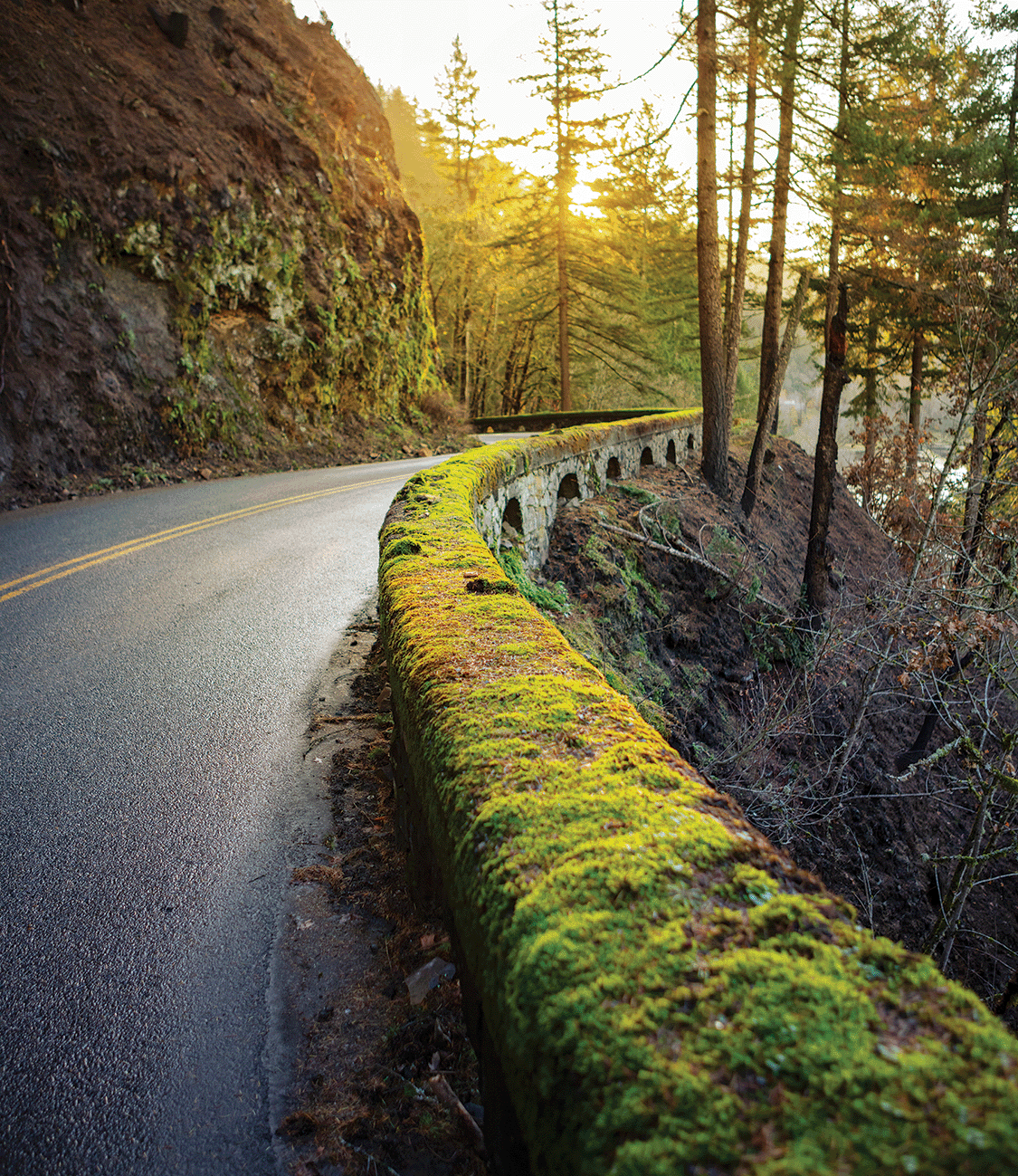 The Columbia River Gorge #4