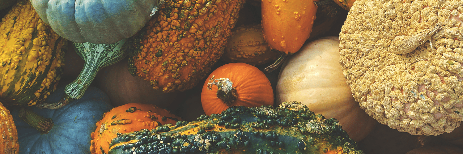 Fall’s Finest